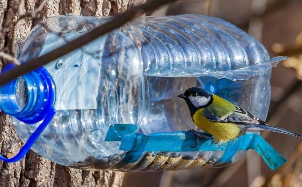 Що цікавого можна робити з дітьми взимку: 10 простих і теплих справ