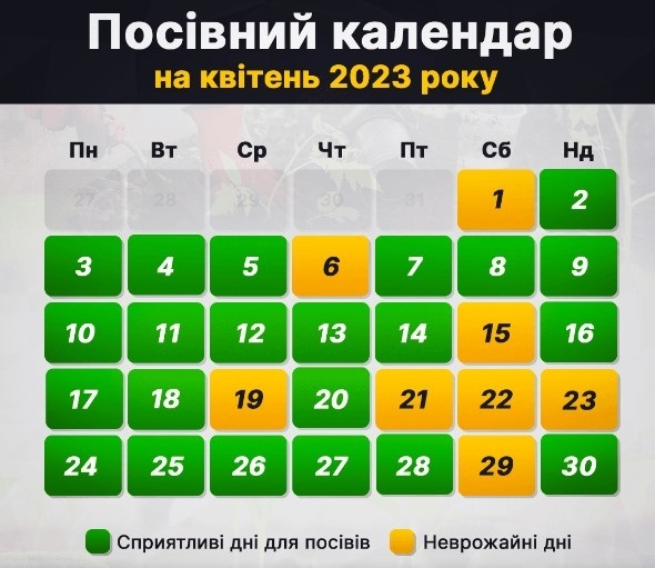 Посівний календар на квітень 2023 / інфографіка УНІАН
