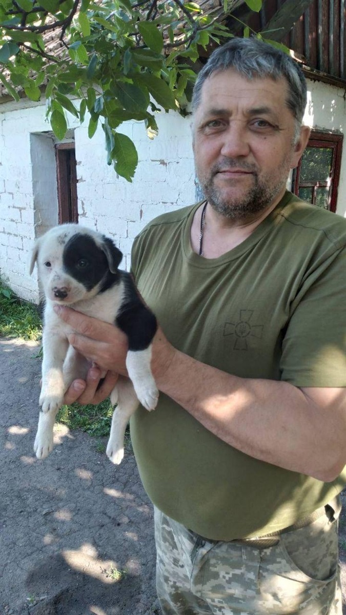 Олександр кривіцький- вчитель на передовій