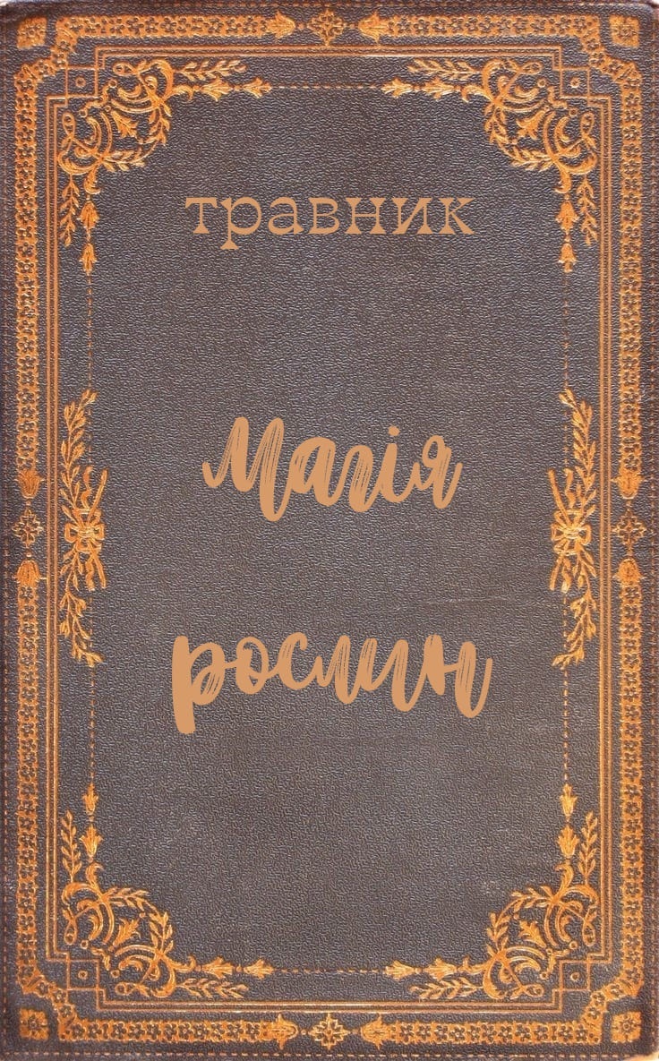 З любов’ю до малечі: цікаві факти про дитячі садочки у Жмеринській громаді до Дня дошкілля