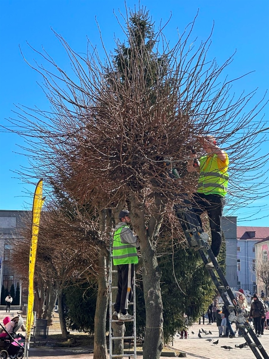 У Жмеринці стартувала формувальна обрізка дерев та очистка від чагарників
