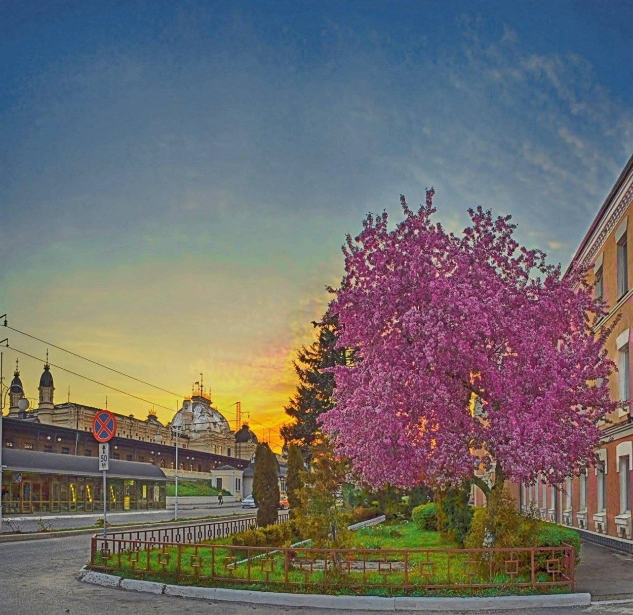 Оголошуємо конкурс на краще ваше фото в цвітінні квітів і дерев у Жмеринці