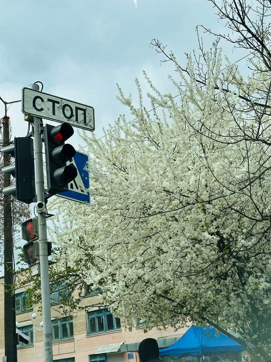 Оголошуємо конкурс на краще ваше фото в цвітінні квітів і дерев у Жмеринці