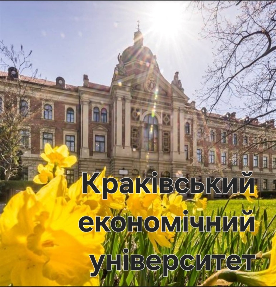 Від Іспанії до Швейцарії: яким був Тиждень Європи у закладах освіти Жмеринської громади